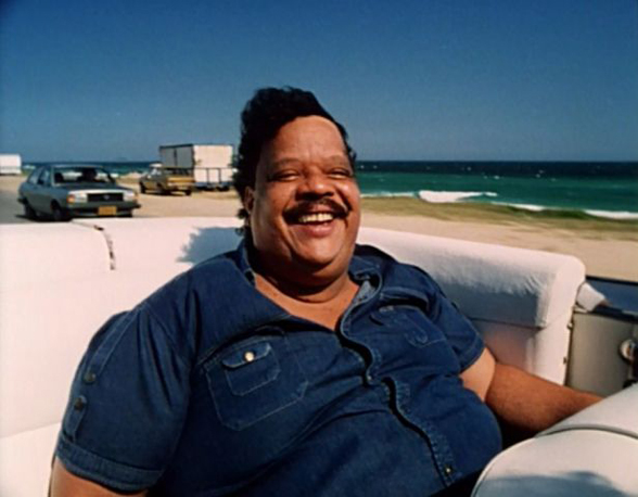 Perfil: Tim Maia